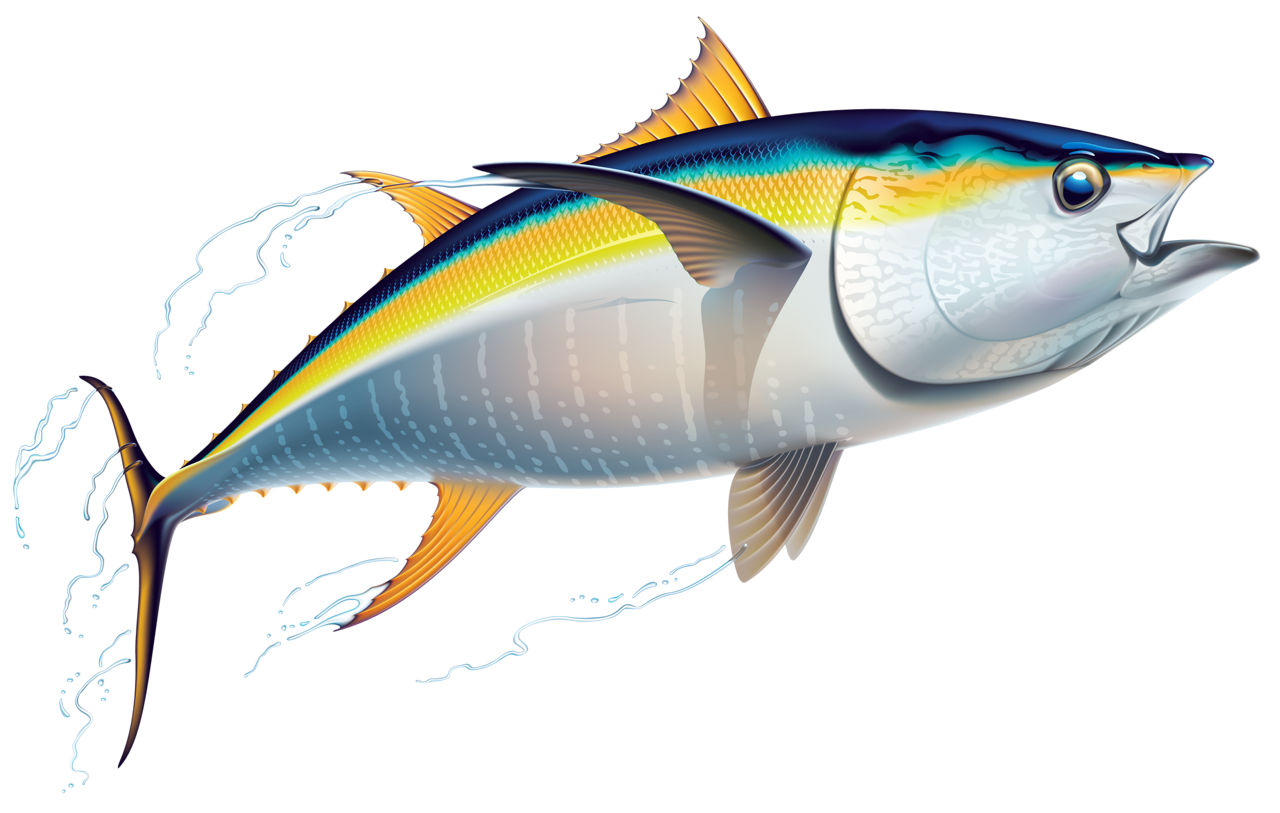 Yellowfin Tuna